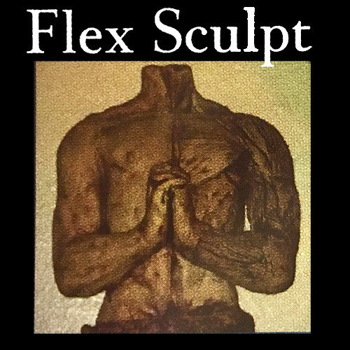 Flex Sculpt